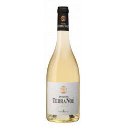 Domaine Terra Noé Blanco