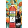 Promoción Brotto Spritz verano
